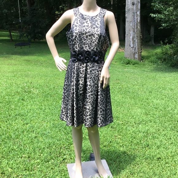 NWT $178 Muse | Lord & Taylor | Leopard Print Dress w Adornment At Waist - Picture 1 of 7